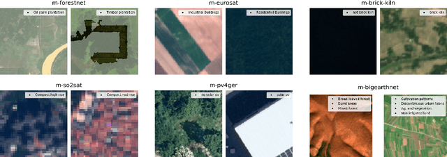 Figure 3 for GEO-Bench: Toward Foundation Models for Earth Monitoring