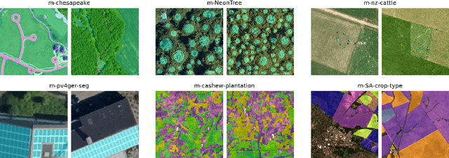 Figure 4 for GEO-Bench: Toward Foundation Models for Earth Monitoring