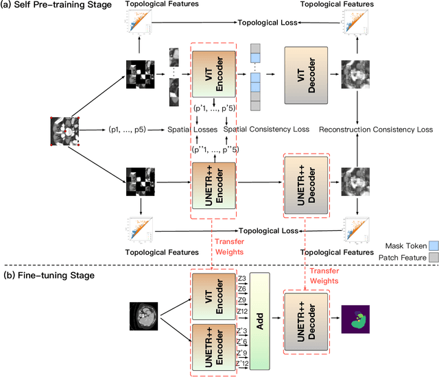 Figure 3 for Self Pre-training with Topology- and Spatiality-aware Masked Autoencoders for 3D Medical Image Segmentation