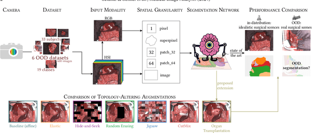 Figure 1 for Handling Geometric Domain Shifts in Semantic Segmentation of Surgical RGB and Hyperspectral Images