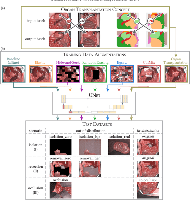 Figure 2 for Handling Geometric Domain Shifts in Semantic Segmentation of Surgical RGB and Hyperspectral Images