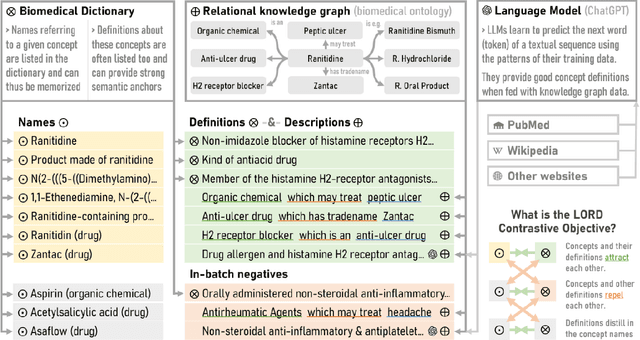 Figure 3 for BioLORD-2023: Semantic Textual Representations Fusing LLM and Clinical Knowledge Graph Insights