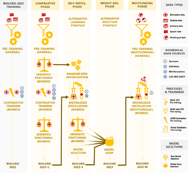Figure 1 for BioLORD-2023: Semantic Textual Representations Fusing LLM and Clinical Knowledge Graph Insights