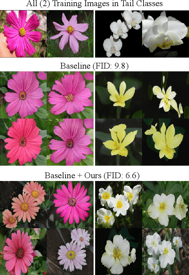 Figure 1 for Taming the Tail in Class-Conditional GANs: Knowledge Sharing via Unconditional Training at Lower Resolutions