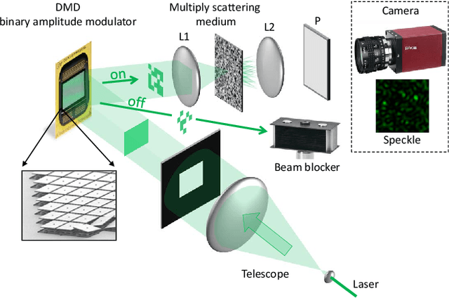 Figure 1 for Signal processing with optical quadratic random sketches