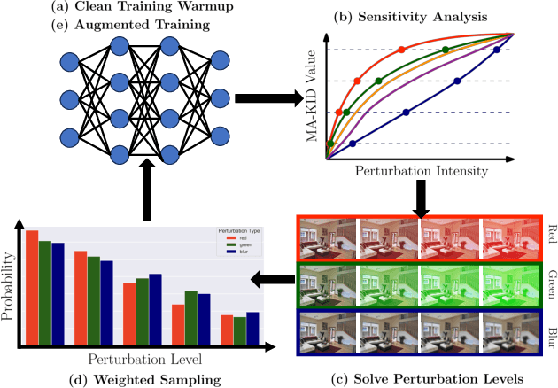 Figure 1 for Sensitivity-Informed Augmentation for Robust Segmentation