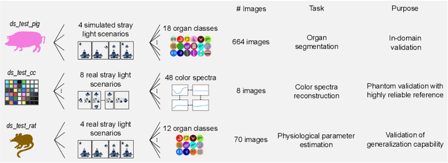 Figure 4 for Deep intra-operative illumination calibration of hyperspectral cameras