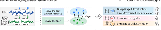 Figure 3 for Brant-X: A Unified Physiological Signal Alignment Framework