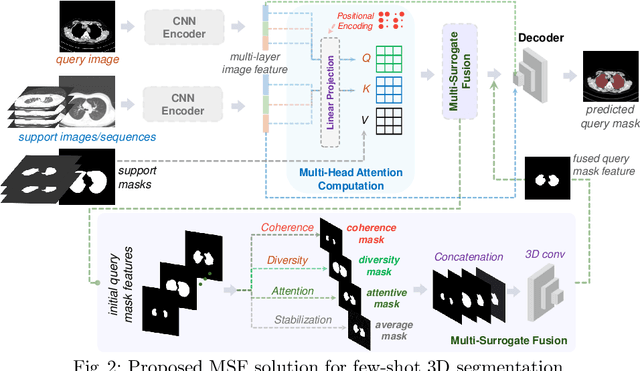 Figure 3 for Few-Shot 3D Volumetric Segmentation with Multi-Surrogate Fusion