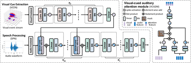 Figure 3 for Human-Inspired Audio-Visual Speech Recognition: Spike Activity, Cueing Interaction and Causal Processing