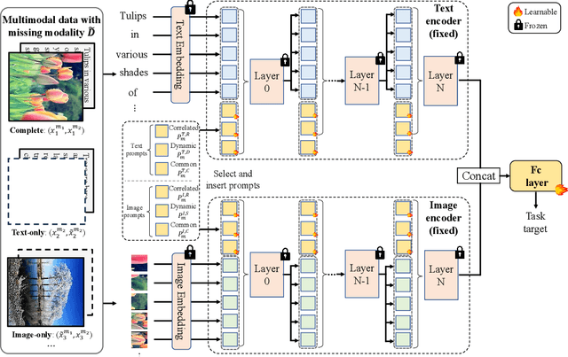 Figure 1 for Deep Correlated Prompting for Visual Recognition with Missing Modalities