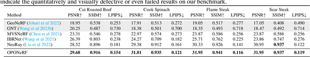 Figure 2 for OPONeRF: One-Point-One NeRF for Robust Neural Rendering