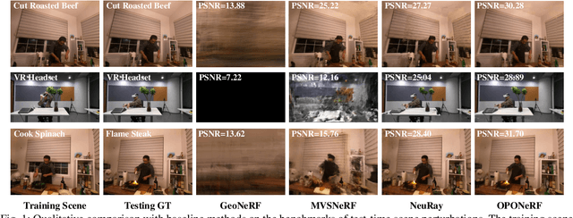 Figure 1 for OPONeRF: One-Point-One NeRF for Robust Neural Rendering