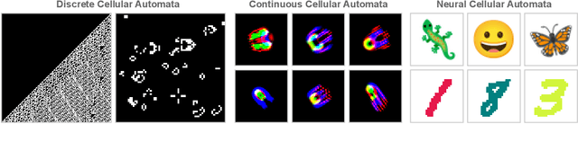 Figure 1 for CAX: Cellular Automata Accelerated in JAX