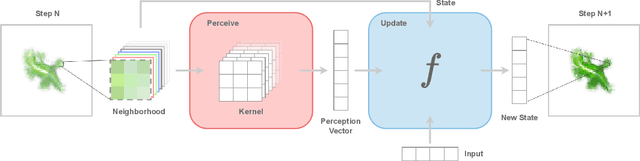 Figure 3 for CAX: Cellular Automata Accelerated in JAX