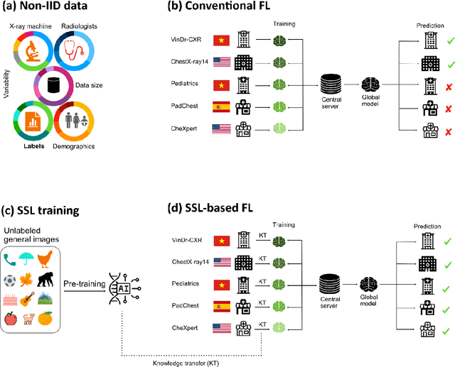 Figure 1 for Boosting multi-demographic federated learning for chest x-ray analysis using general-purpose self-supervised representations