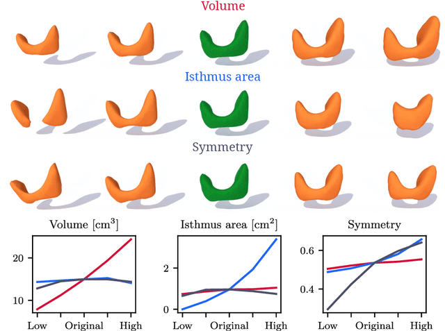 Figure 4 for Steerable Anatomical Shape Synthesis with Implicit Neural Representations