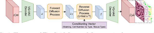 Figure 3 for HistoSmith: Single-Stage Histology Image-Label Generation via Conditional Latent Diffusion for Enhanced Cell Segmentation and Classification