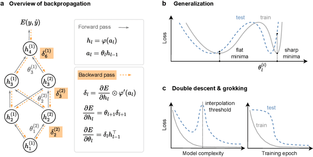 Figure 2 for A Unified Perspective on Optimization in Machine Learning and Neuroscience: From Gradient Descent to Neural Adaptation