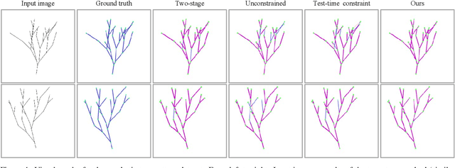 Figure 4 for TreeFormer: Single-view Plant Skeleton Estimation via Tree-constrained Graph Generation