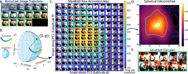 Figure 2 for On the Level Sets and Invariance of Neural Tuning Landscapes