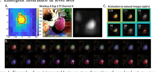 Figure 4 for On the Level Sets and Invariance of Neural Tuning Landscapes