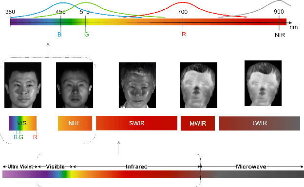 Figure 1 for Rethinking the Domain Gap in Near-infrared Face Recognition