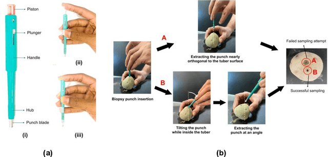 Figure 4 for Design, Integration, and Evaluation of a Dual-Arm Robotic System for High Throughput Tissue Sampling from Potato Tubers