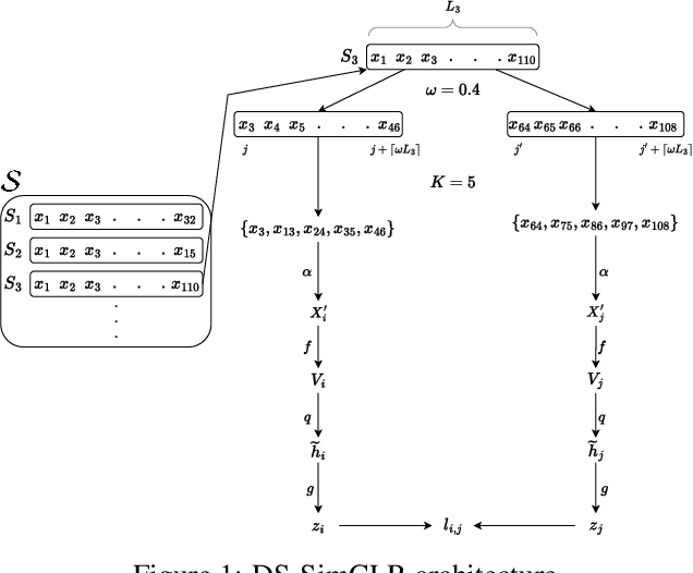 Figure 1 for DeepSet SimCLR: Self-supervised deep sets for improved pathology representation learning