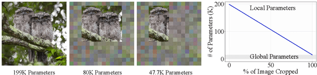 Figure 1 for Towards Croppable Implicit Neural Representations