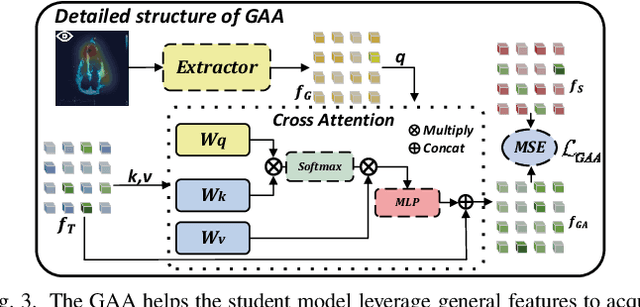 Figure 3 for Gaze-Assisted Human-Centric Domain Adaptation for Cardiac Ultrasound Image Segmentation