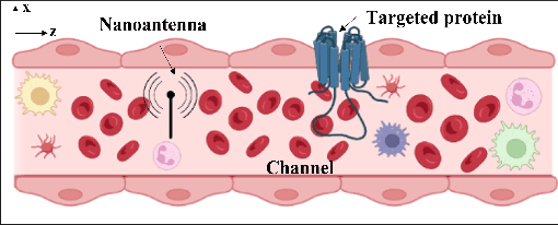Figure 1 for Terahertz Induced Protein Interactions in a Random Medium