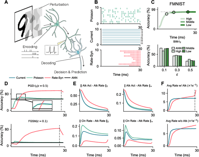 Figure 1 for Spike timing reshapes robustness against attacks in spiking neural networks