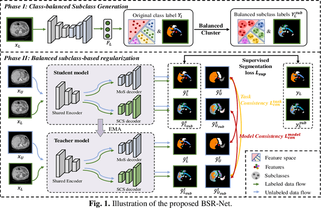 Figure 1 for Alleviating Class Imbalance in Semi-supervised Multi-organ Segmentation via Balanced Subclass Regularization