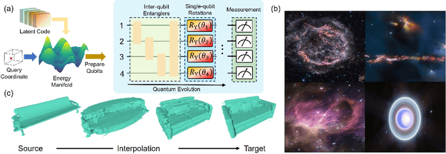 Figure 1 for Quantum Visual Fields with Neural Amplitude Encoding