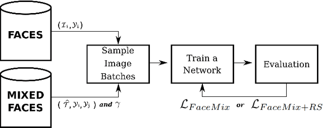 Figure 4 for FaceMixup: Enhancing Facial Expression Recognition through Mixed Face Regularization