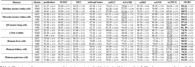Figure 2 for scSiameseClu: A Siamese Clustering Framework for Interpreting single-cell RNA Sequencing Data