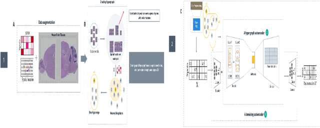 Figure 3 for Hypergraph Neural Networks Reveal Spatial Domains from Single-cell Transcriptomics Data