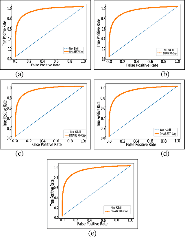 Figure 2 for Predicting Transcription Factor Binding Sites using Transformer based Capsule Network