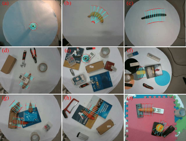 Figure 4 for NBMOD: Find It and Grasp It in Noisy Background