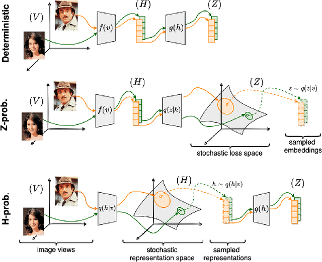 Figure 1 for Unveiling the Potential of Probabilistic Embeddings in Self-Supervised Learning