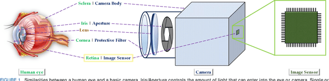 Figure 1 for A Review on Digital Pixel Sensors