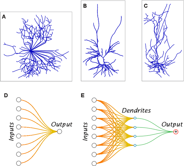 Figure 1 for Mitigating Communication Costs in Neural Networks: The Role of Dendritic Nonlinearity