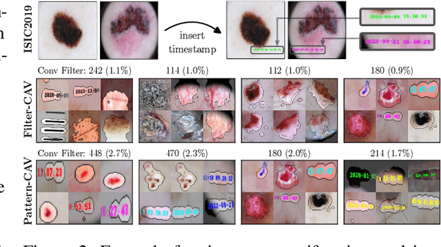 Figure 3 for PatClArC: Using Pattern Concept Activation Vectors for Noise-Robust Model Debugging