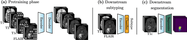 Figure 1 for Multimodal Masked Autoencoder Pre-training for 3D MRI-Based Brain Tumor Analysis with Missing Modalities