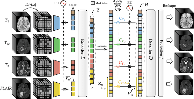 Figure 3 for Multimodal Masked Autoencoder Pre-training for 3D MRI-Based Brain Tumor Analysis with Missing Modalities