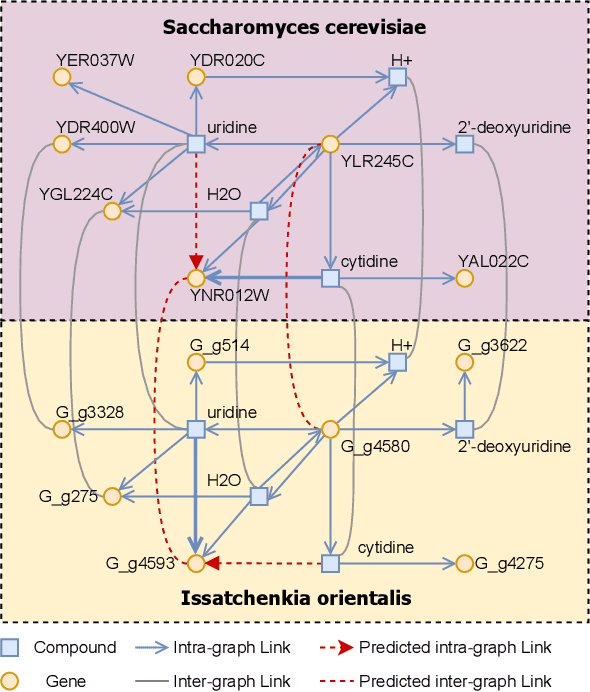 Figure 1 for Gene-Metabolite Association Prediction with Interactive Knowledge Transfer Enhanced Graph for Metabolite Production