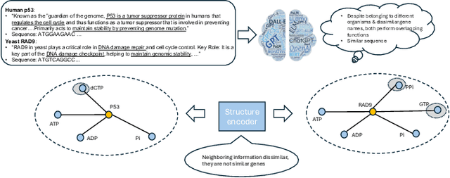 Figure 2 for Gene-Metabolite Association Prediction with Interactive Knowledge Transfer Enhanced Graph for Metabolite Production