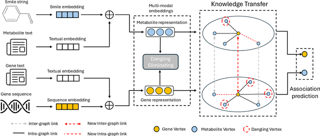 Figure 3 for Gene-Metabolite Association Prediction with Interactive Knowledge Transfer Enhanced Graph for Metabolite Production