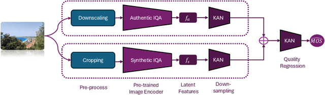Figure 1 for LAR-IQA: A Lightweight, Accurate, and Robust No-Reference Image Quality Assessment Model